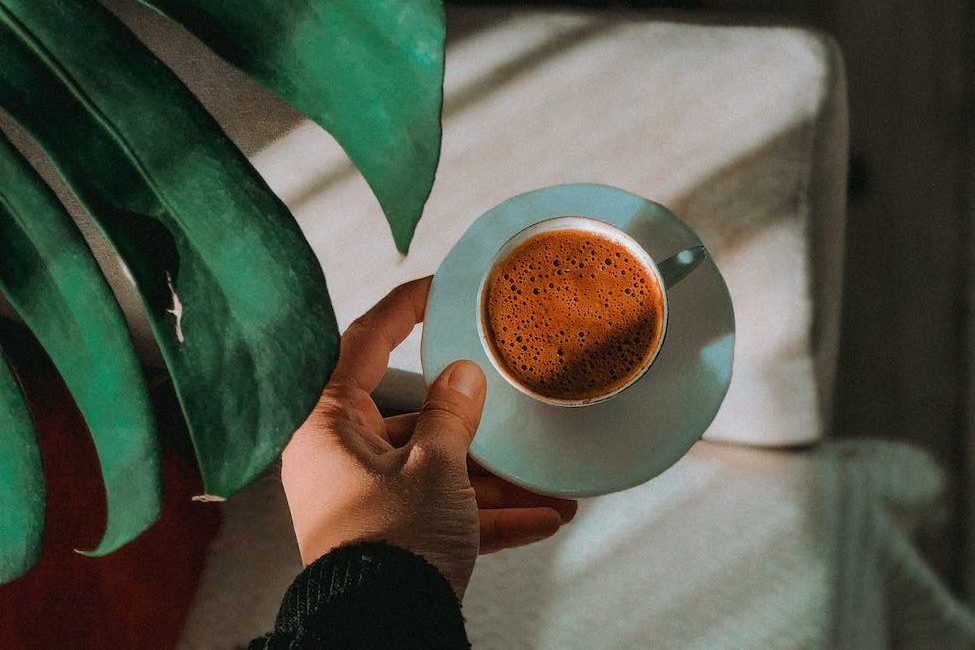 hand holding cup of coffee in sunlight