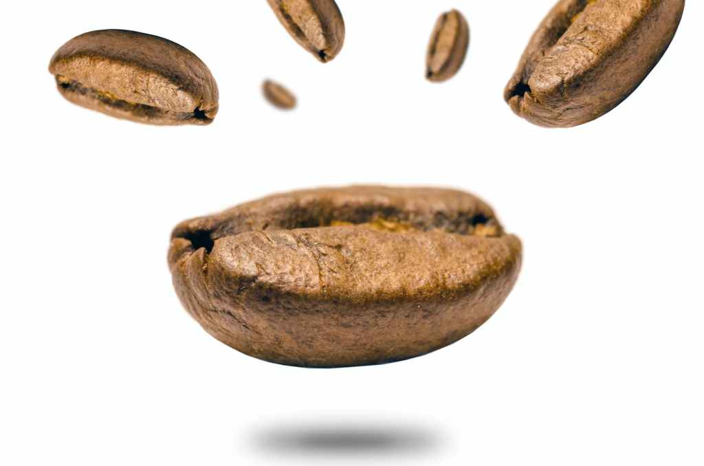 closeup photo of coffee bean
